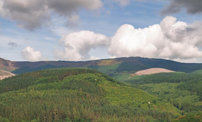 Image credit: Visit Mid Wales